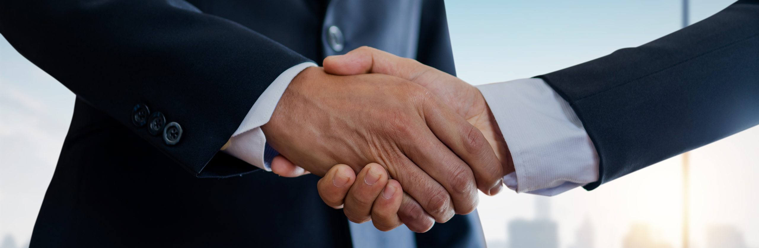 AI Trading Software Partner